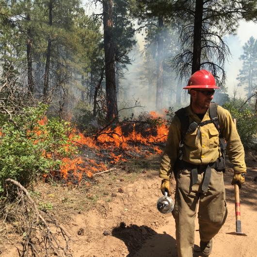 A wildland firefighter stands in an open area of brush and grass during a prescribed burn