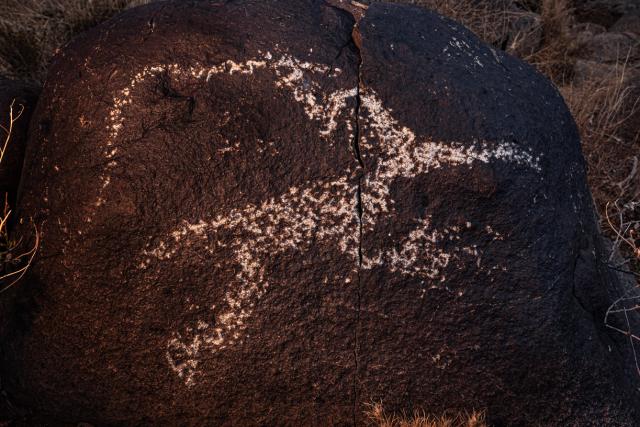 A petroglyph of what appears to be an animal in mid-leap.