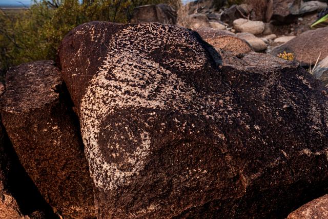 A petroglyph depicting what appears to be a bighorn sheep.