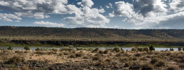 Chickahominy Recreation Site on a sunny summer afternoon. Greg Shine, BLM.