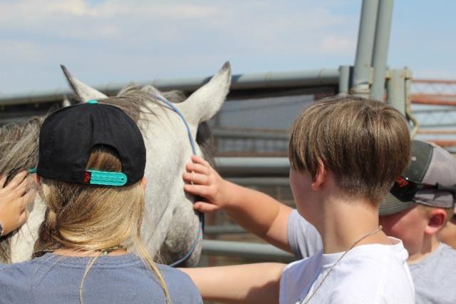 Two youth pet a gray horse. 