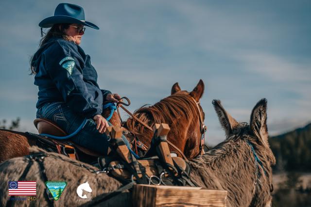 Woman in blue hat and jacket ride brown horse next to gray burro