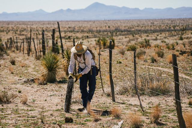 A volunteer carefully rolls up the strand of old barbed wire.