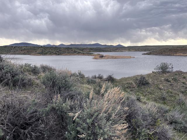 A serene lake surrounded by dry shrubs and rolling hills under a cloudy, overcast sky.