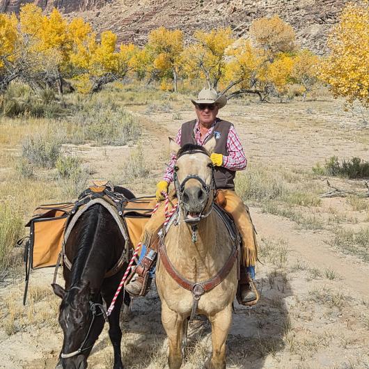 A man on horseback with a second horse alongside.