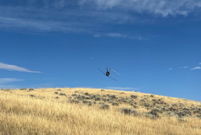 BLM-WY-CheatgrassTreatments