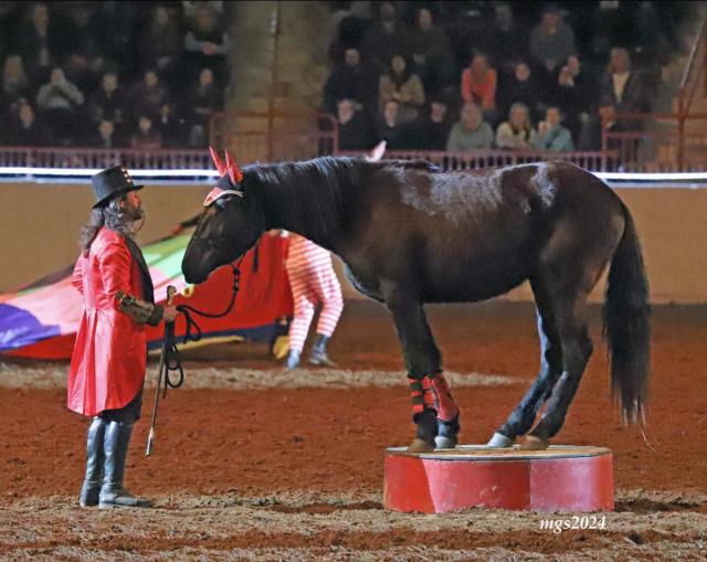 Man in a red coat with a black top hat during a a nighttime theatrical show.