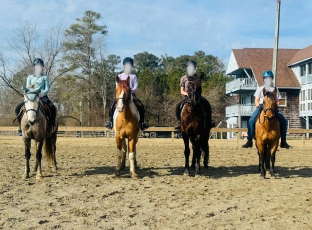 four horses facing forward with young riders