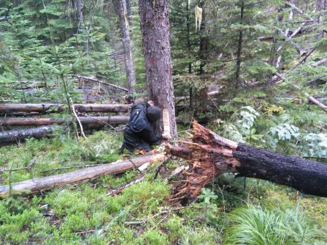 making new cadastral markings