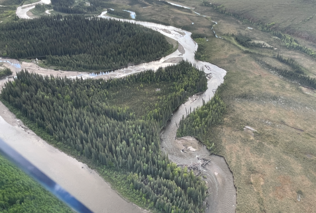 an aerial view of the actual log jam. 