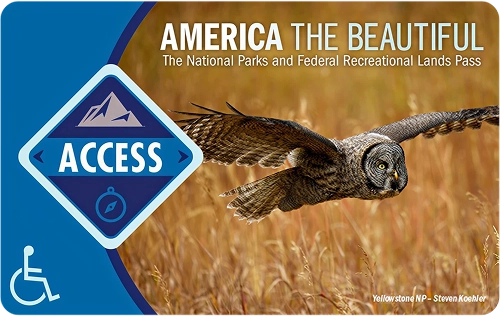 America the Beautiful Access Pass 2026 featuring a flying owl.