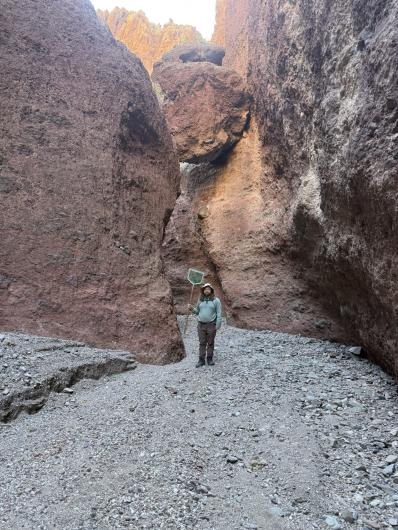 Person standing in a narrow rocky canyon holding a net, surrounded by towering reddish-brown cliffs under soft sunlight.