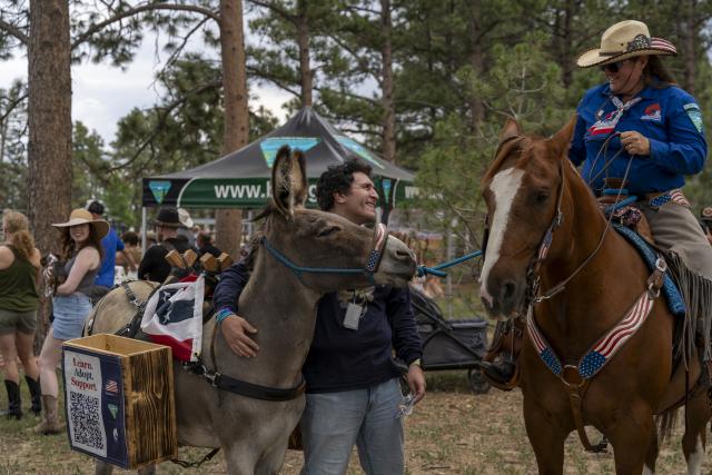 A Bureau of Land Management Wyoming employee hugs Liberty, a wild burro, during the annual wild horse and burro adoption event at Lions Park in Cheyenne