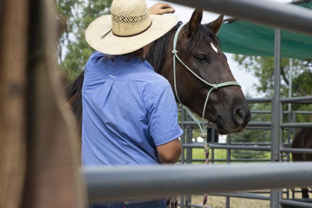 Bureau of Land Management staff and the Mantle Wild Horse Adoption and Training Facility held daily wild horse and burro demonstrations at Lions Park during Cheyenne Frontier Days, July 22, 2026, ahead of the annual adoption event
