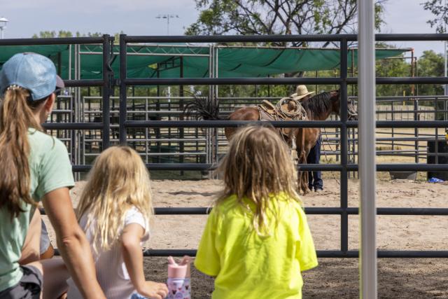 Visitors of all ages watch the horse demonstration during the annual wild horse adoption event at Lions Park in Cheyenne, Wyo