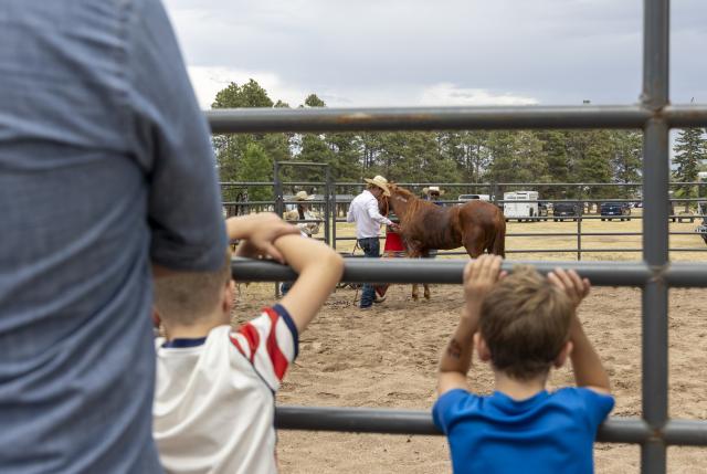 Two young kids watch the Wild Horse demo through a fence.