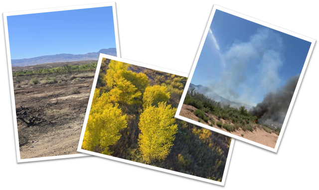 Mosaic of burned area in Mesquite, NV.