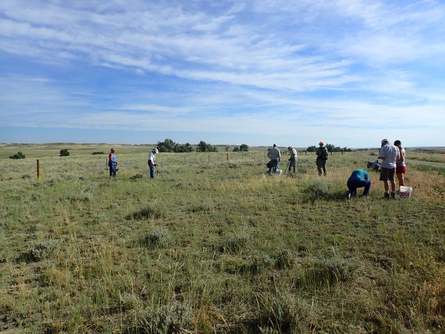 a group of people are dispersed across a field standing and kneeling while looking at the ground
