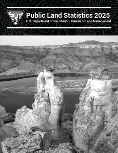 BLM Public Land Statistics 2025 cover thumbnail