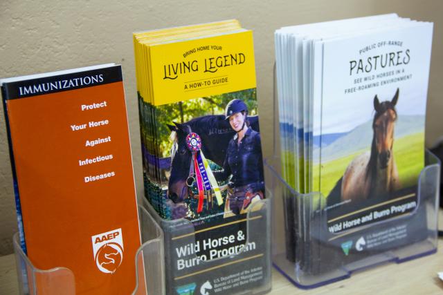 Brochures about horse immunizations, wild horse and burro adoption, and public off‑range pastures displayed in clear plastic holders.
