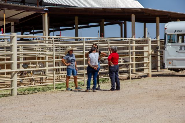 Several people stand together talking near corral pens at the Florence Wild Horse and Burro Training and Off‑Range Corral during a summer 2026 event.