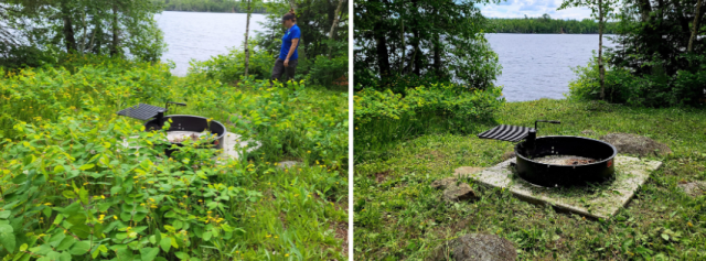 Left: An overgrown campsite fire ring sits among tall vegetation near a lake as a person approaches. Right: The same fire ring after being cleared, with vegetation cut back to reveal a neat, open lakeside campsite.