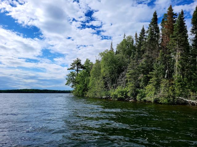 A scenic view of a forested shoreline under a partly cloudy sky, with calm lake water in the foreground.
