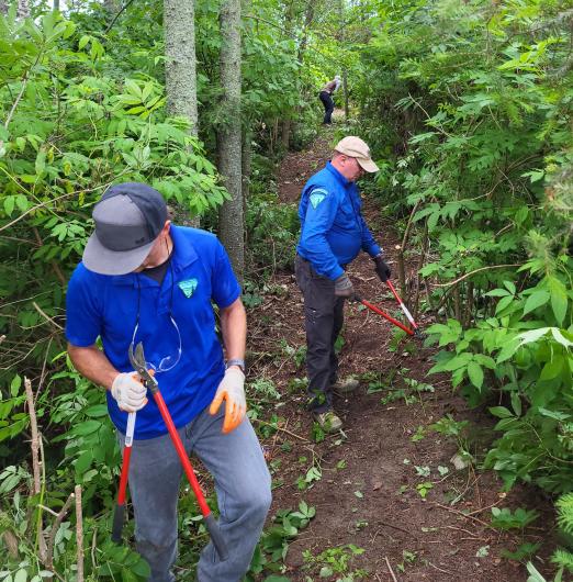 Two people work along a wooded trail using loppers to trim back thick vegetation. Another person is farther up the path doing similar clearing work.