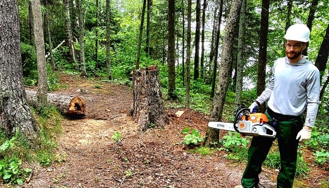 A person wearing safety gear holds a chainsaw near a freshly cut tree stump in a forest clearing, with sawdust and a fallen log visible nearby.