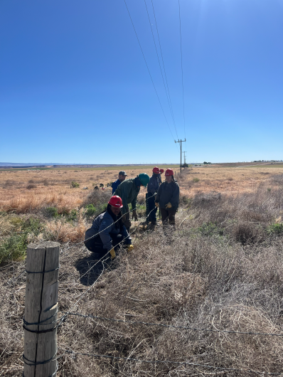 Image of crew repairing fence on rangeland