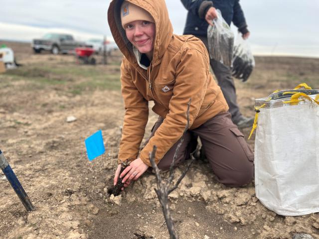 Image of intern planting seedling.