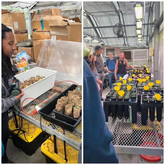 Image of students touring a greenhouse