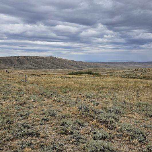 Wide photo of the Shirley Basin landscape which is brown and has cloudy skys.