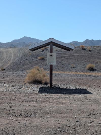Kiosk at Standard Wash displays a "Watch for Tortoise"