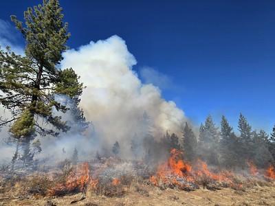 A fire burns in high country brush