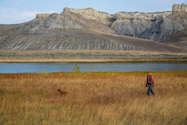 A hunter moves through tall brown grass with a dog. 