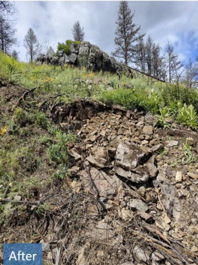 After: Rocky hillside with loose soil and stones beneath a small cliff, surrounded by new green vegetation.