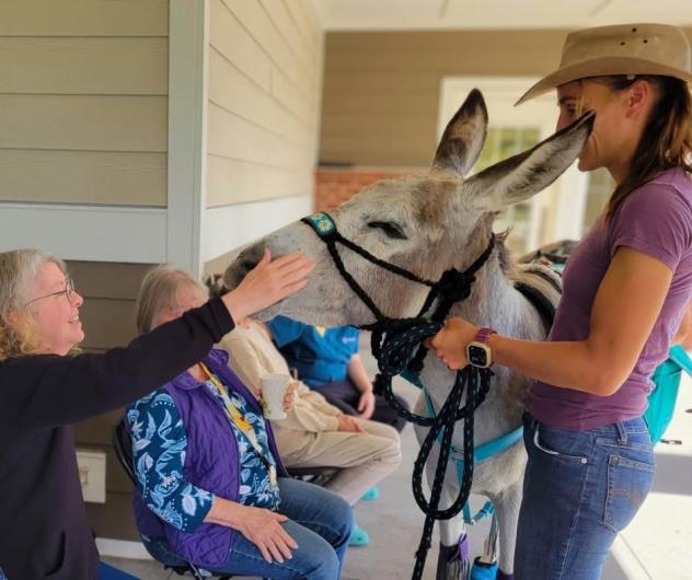 A person in a hat holds a haltered burro visiting senior citizens at a care home