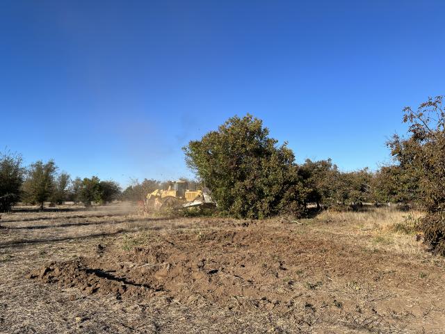 Bulldozer clearing land near trees under a clear blue sky