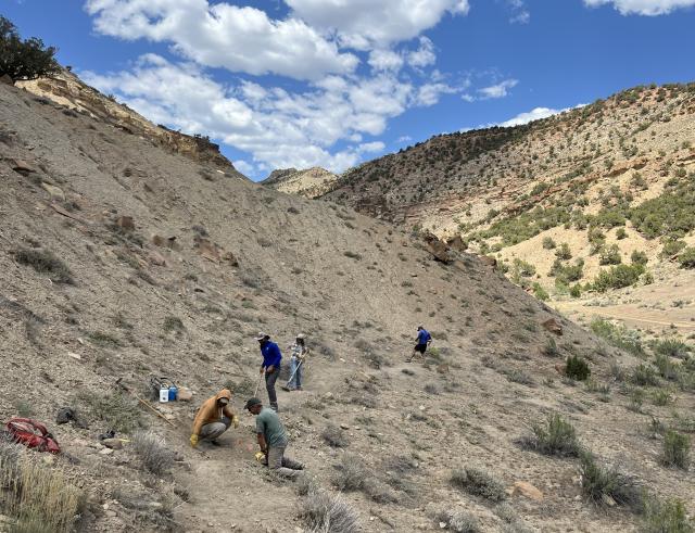 Several people use shovels and pickaxes on a desert slope below mountains