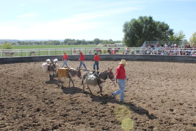 BLM-WY-WHF2026-3