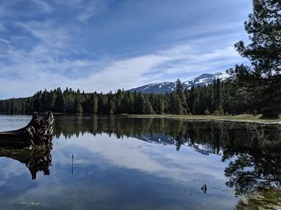 A lake in the mountains surrounded by pine and fir trees.