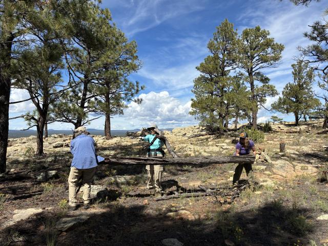 Three volunteers hike a downed log off of a trail.