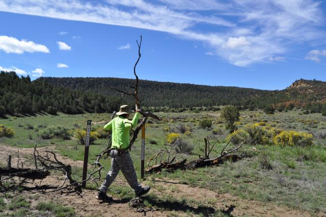 A volunteer places downed branches alongside a non-motorized trail entrance.