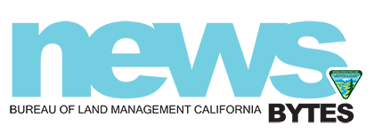 California News.bytes logo