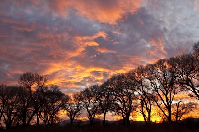 Sunset at the San Pedro Riparian National Conservation Area