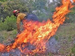 A pile of brush burns under the supervision of a fire fighter. Photo by BLM.