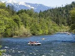 Rafters on a river in a forest. Photo by the BLM.