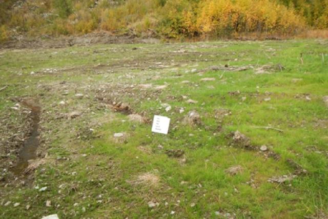 White sign in grass field