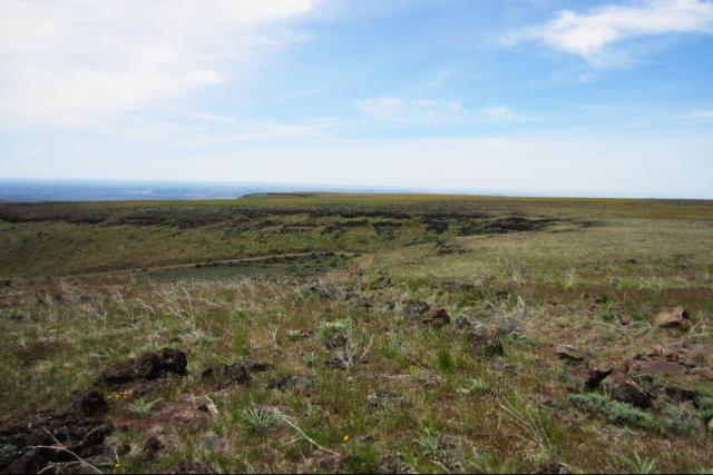 Post-fire landscape